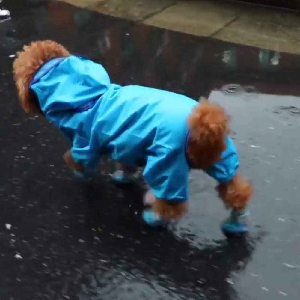 1 Stück Haustier-Regenmantel für Hunde, Pudel-Welpen-Hunde-Regenmantel, getönte Haustier-Regenmantel-Kleidung...