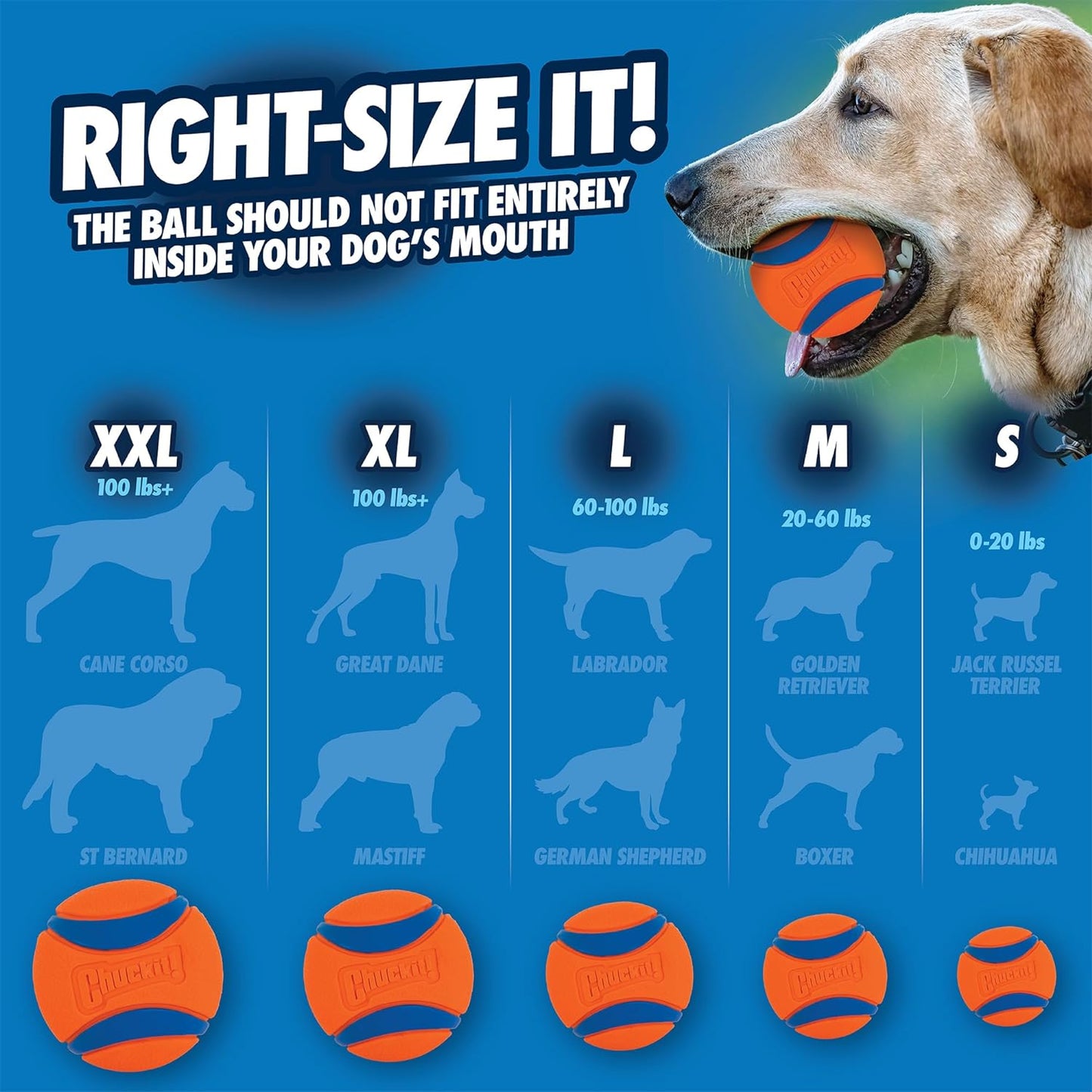 Chuckit Ultra Ball Medium - 1 Pelotas para Perros