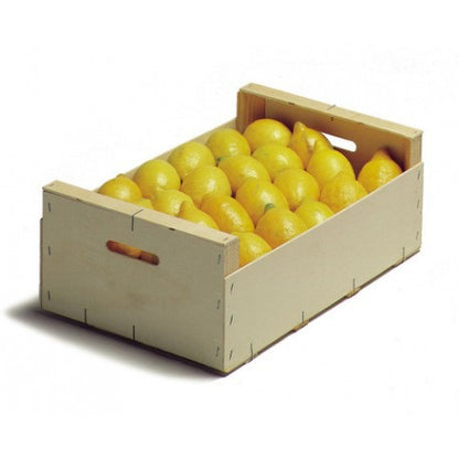 Limones caja de limones de 10 kilos