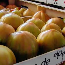 Tomates valencianos recien cojidos caja de 10 kilos