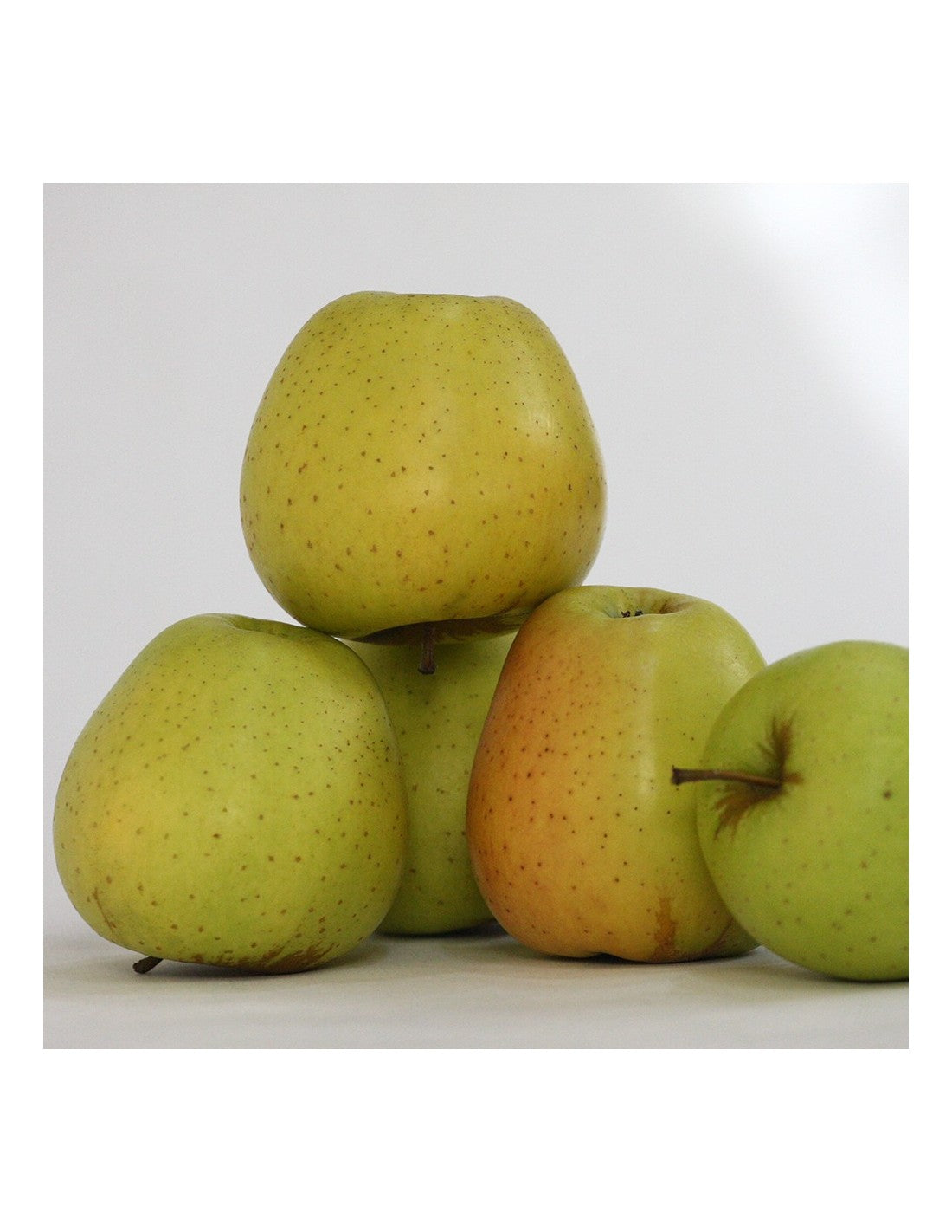 Nationaler goldener Apfel KARTON MIT 10 kg N / Der gelbe Apfel oder goldene Apfel ist eine der vollständigsten Früchte in der Ernährung