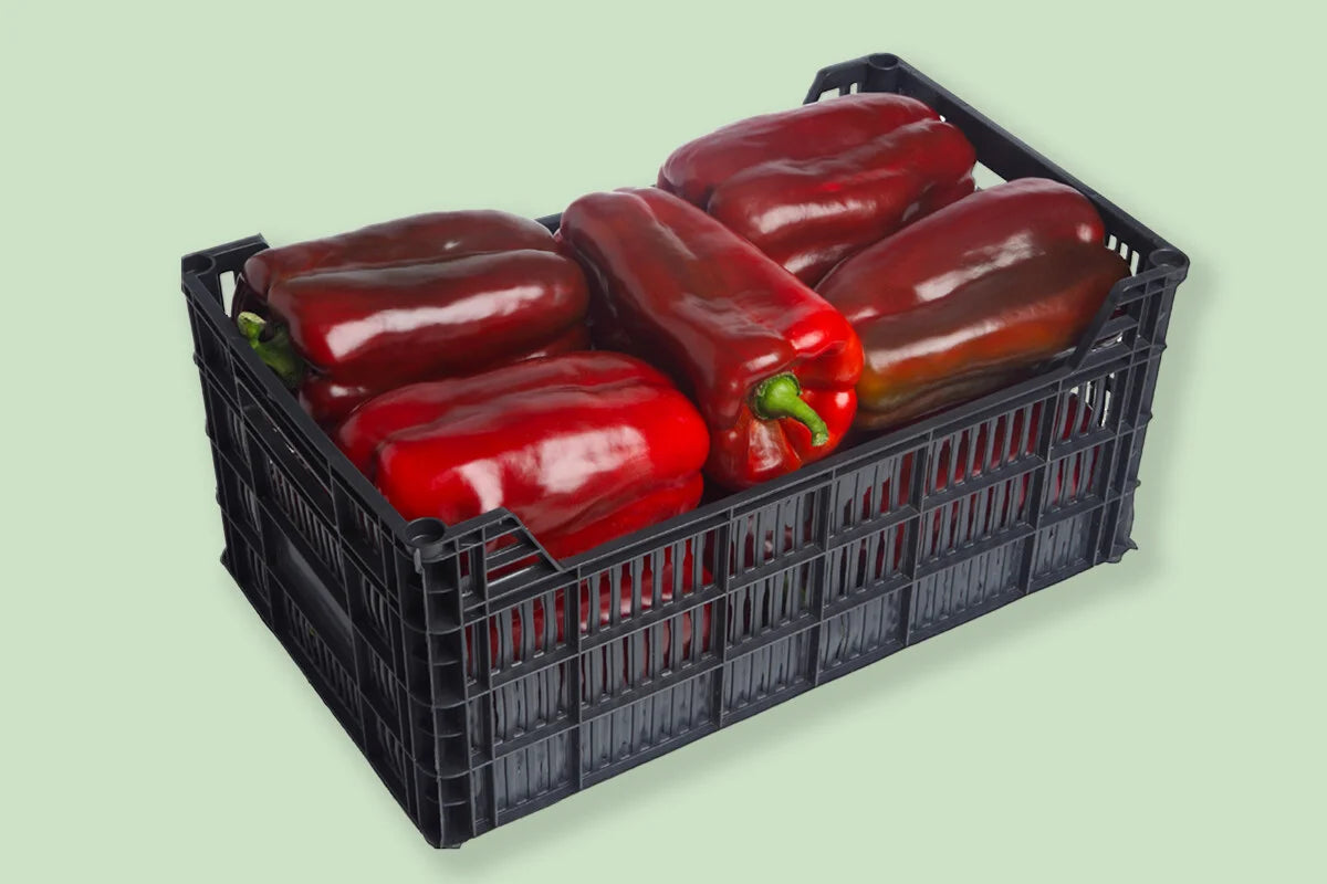 Pimientos Rojos Lamuyo Caja de 10 Kilos: Ideal para cocineros profesionales